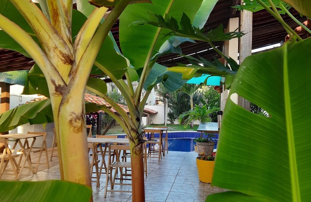 Pousada Villa Tropicale