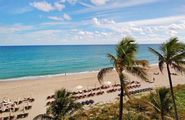 Pristine Oceanfront Accommodation! Garden View Unit w/ 2 Queen Beds | Pool