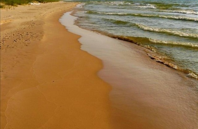 Private and Quiet Lake Michigan Waterfront Cottage on 7 acres
