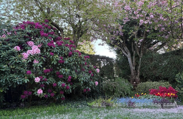 Private Suite Kitchen Work & Sleep Zones Near YVR & Ferries