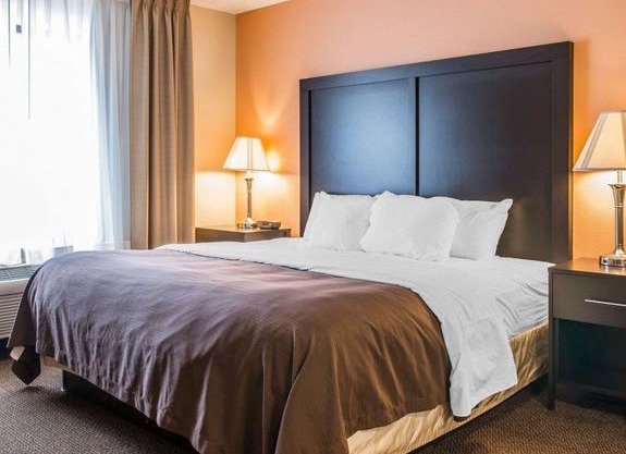 Quality Inn & Suites Niles