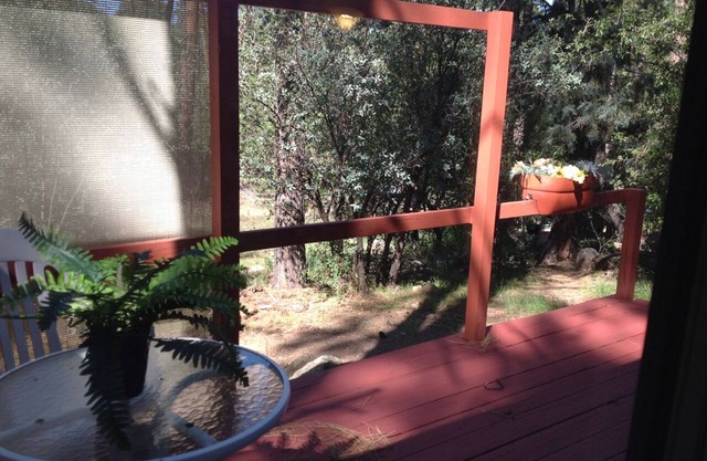 Quiet cottage in Pines,