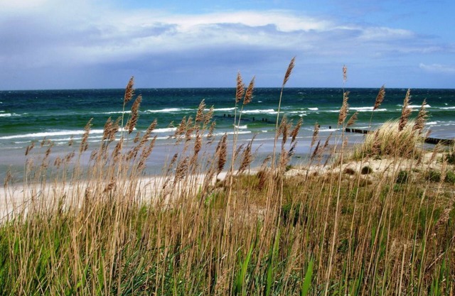 Quiet location by the water, detached house 123 sqm, up to 6 persons, pets allowed