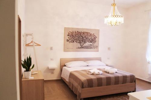 Radici Rooms
