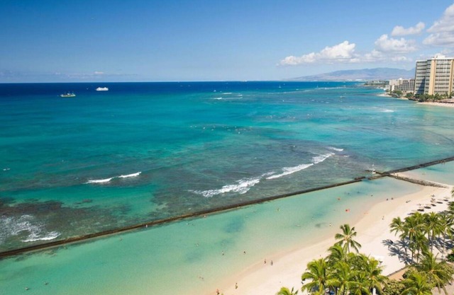 Relax and Unwind! 2 Comfortable Units, Outdoor Pool, Minutes to Honolulu Zoo