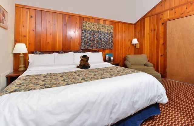 Relax & Unwind! On-site Pool and Restaurant, Close to Shoshone National Forest!