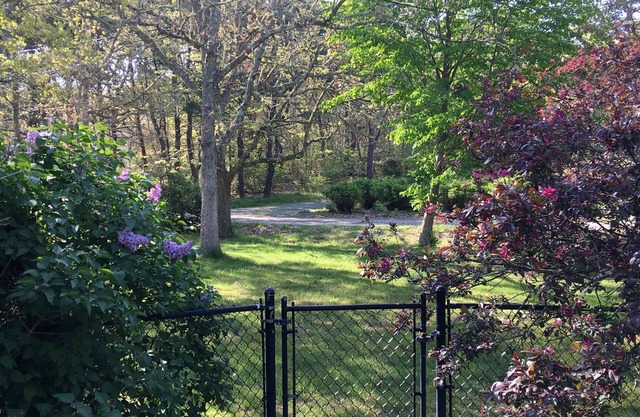 Relaxing, peaceful area close to beaches, downtown Chatham, and walking trails.