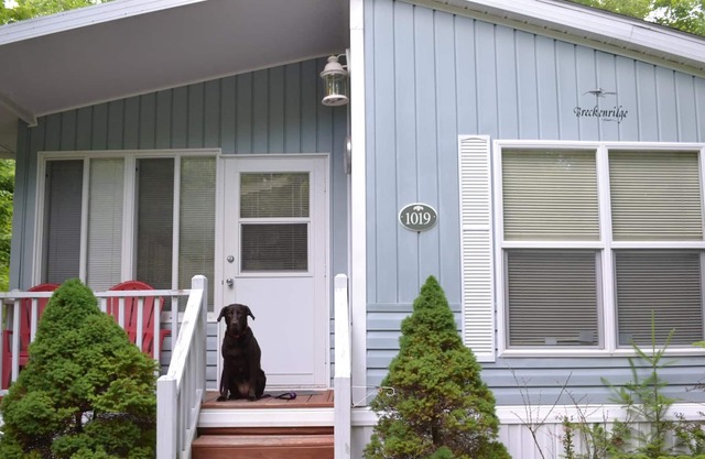 Resort cottage in Point Sebago resort