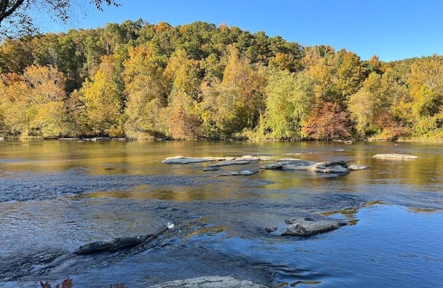 River View Cabin .