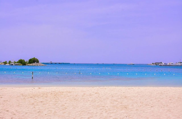 Sea Bird Beach Studio at Sandcastles Resort