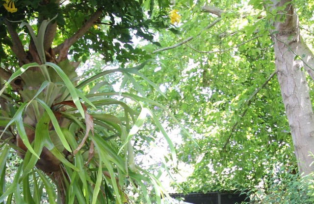 Secret Garden Cottage! Hot outdoor bath with minutes to beach.