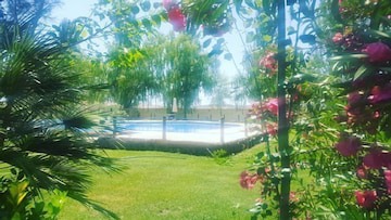 Self catering Complejo Los Arenales for 4 people
