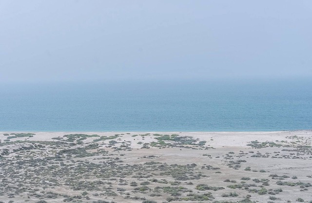 Serene Studio Sea View Brand New Listing