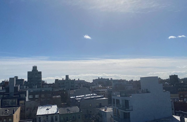 Shared Coastal Designed 2-bedroom apartment with AC, WiFi in Vibrant Brooklyn