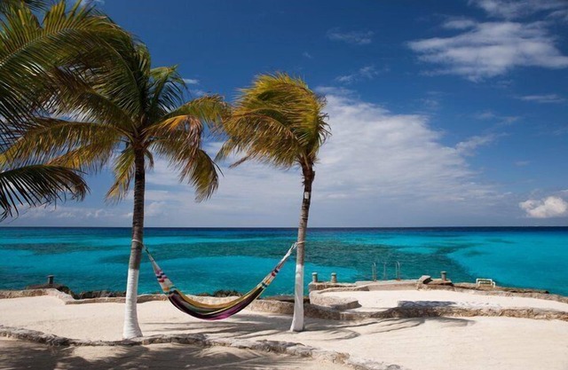 Small is Beautiful. Relax ON the beach, convenient & near the Presidential Villa