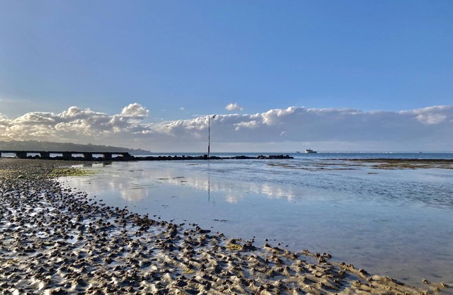 Solent Landing No 12A - Beachfront