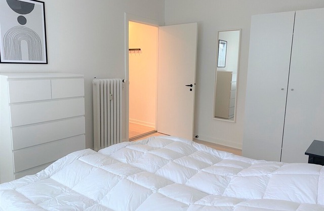 Spacious Apartment in the heart of Roskilde