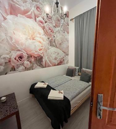 Spring Roses Downtown Boutique Hotel ON THE FAMOUS VÁCI FASHION STREET FREE COFFEE, TEE