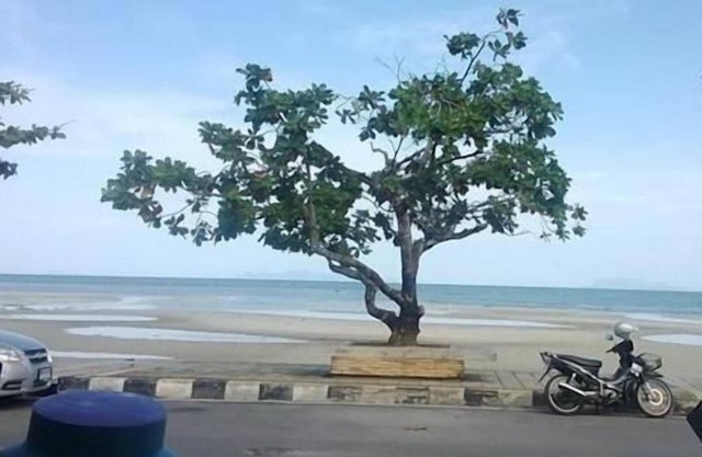 Sri Samui Hotel