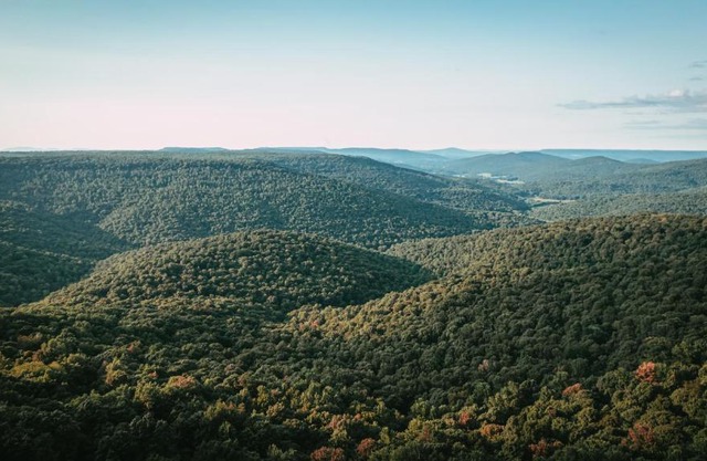 Stone's Mountain View