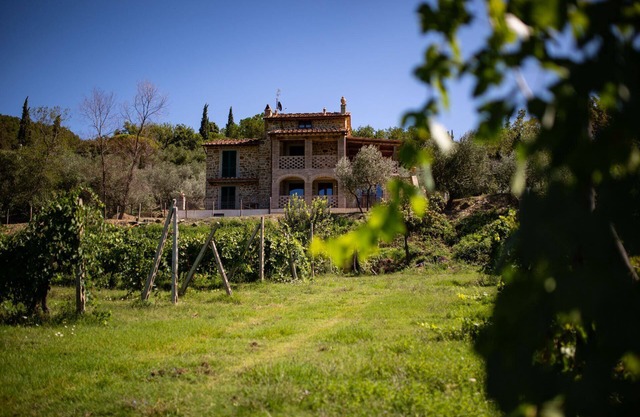 Stone villa accessible by wheelchair, situated in a hilly position 2 km from the village of Castigli