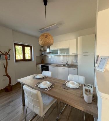 Studio Apartman Nika