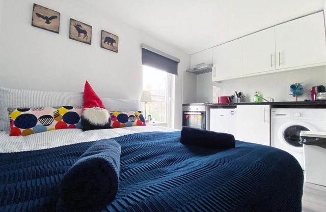 Studio Apartment in Seven Sisters