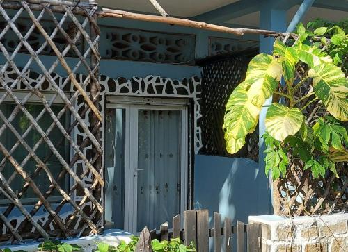 Studio Poivre - Séjour tropical à Nosy Be
