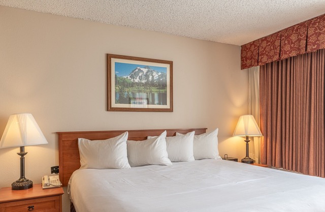 Studio With 2 Kings In Base Area 1 Bedroom Condo - No Cleaning Fee! by Redawning