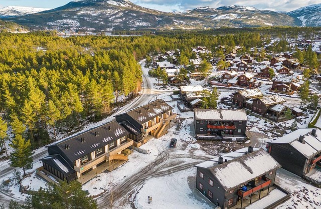 Stunning apartment in Vrådal with WiFi