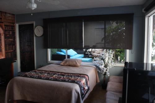 Suite DW Batopilas