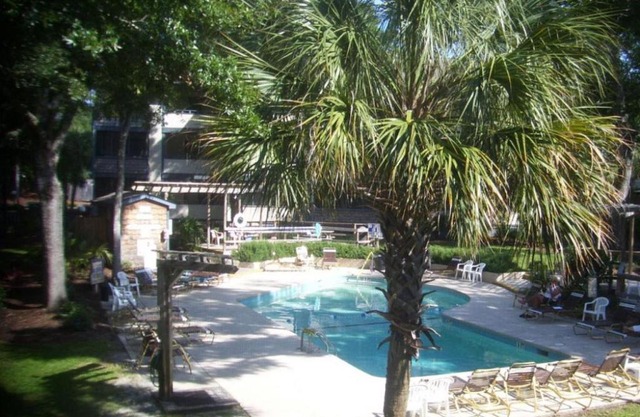 Summertree D10