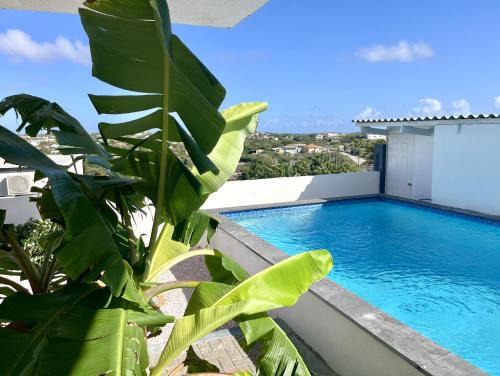 Sundelight Apartments