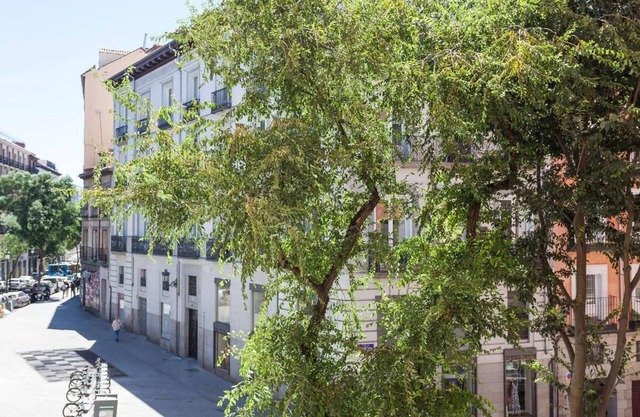 Sunny Urban Apt. Historic District - Sol