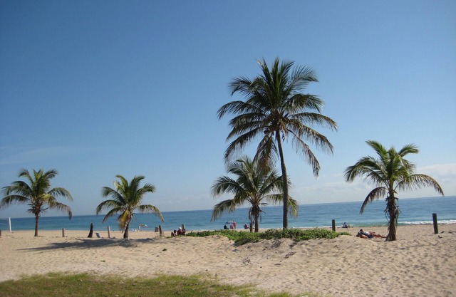 Surf Side Resort