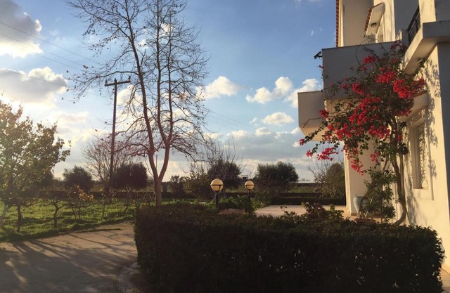 Swan House Panoramic View - Near the sea
