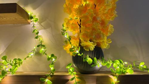Swarga Fireflies