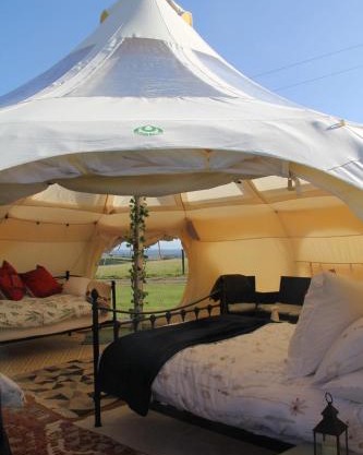 Tal-y-fan farm 6m stargazer tent
