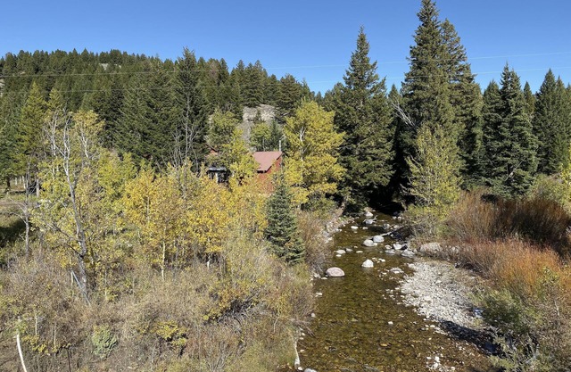 Targhee Creek Cabin by Yellowstone Park