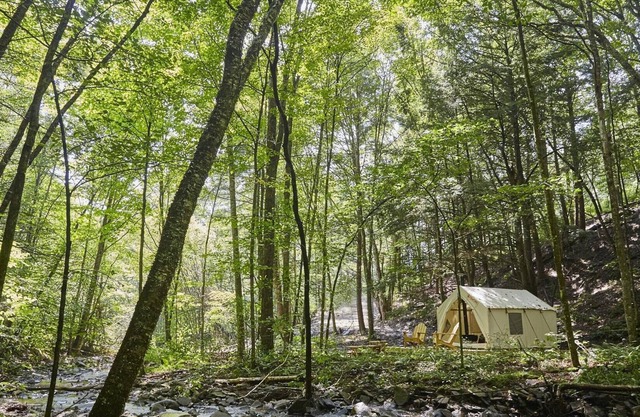 Tentrr Signature Site - Huntley Hollow Brook