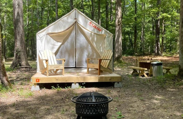 Tentrr State Park Site - Mississippi Wall Doxey State Park - Woodland F - Single Camp