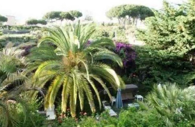 The garden of Villa Anna, Oplonti room sea view