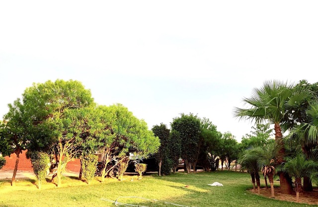 The Grand ND Resort
