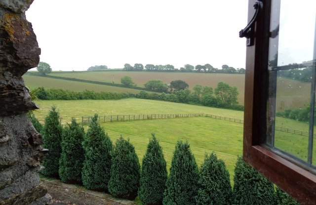 The Dog Friendly Seaton Beach Country Retreat 