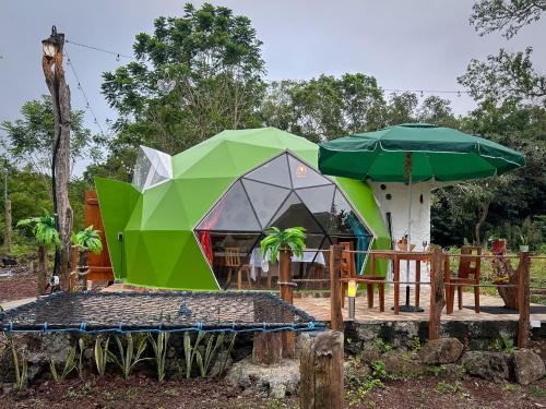 The Tortoise Dome Lodge