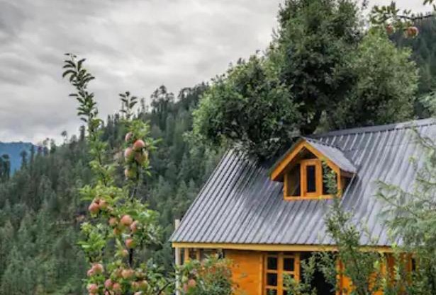THE TREE HOUSE JIBHI ,Swastika Aashiyana