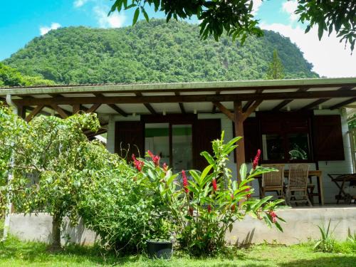 Ti Kaz Houelmont, Vue jardin tropical, proche plage de Rivière-Sens