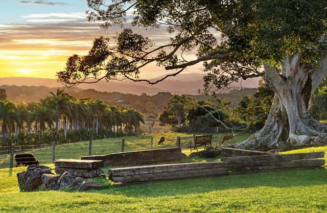 Tooraloo Farm Stay Byron Bay