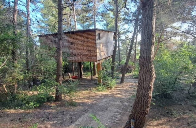 Treehouse in Ljubac
