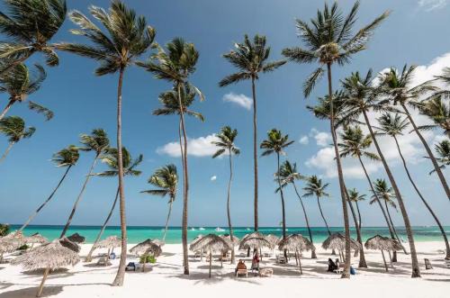 TROPICAL DREAM STUDIOS DELUXE playa LOS CORALES